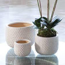 Ellis Pots Set Of 3 By Napa Home Garden In 2021 Pot Sets Organic Furniture Home And Garden