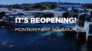 Monterey bay is an oceanfront myrtle beach resort, offering luxurious suites with full and partial ocean views. Monterey Bay Aquarium Reopening Here S What You Need To Know Before You Visit Abc7 San Francisco