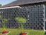 Cheap Garden Screening Ideas