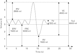 Image result for Vital Capacity