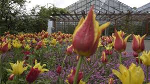 Ihr gärtner für karlsruhe und umgebung! Augsburg So Schon Bluht Es Aktuell Im Botanischen Garten In Augsburg Augsburger Allgemeine