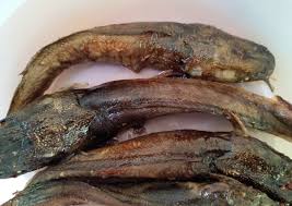 Di artikel sehatki.com kali ini kita akan membahasnya secara lengkap, berapa lamakah durasi atau waktu normal berhubungan intim pada pria dan wanita? Resep Lele Panggang Oven Nikmat Sekali