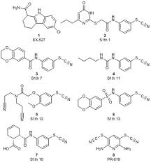 Über charlotte roche, das ende der geschichte. Frontiers Sirtuin 1 Inhibiting Thiocyanates S1th A New Class Of Isotype Selective Inhibitors Of Nad Dependent Lysine Deacetylases Oncology