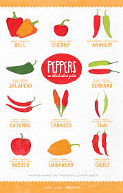 an easy guide to the types of peppers how to cook with each