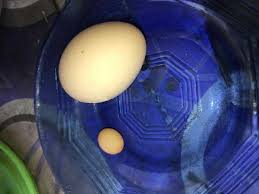 Jul 04, 2021 · 3 resep membuat bubur di rumah untuk sarapan, masaknya gampang: Gosumbar Com Saat Minum Pagi Warga Pariaman Ini Dapati Ada Telur Kecil Dalam Telur