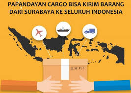 Himeji express merupakan perusahaan cargo skala besar yang melayani pengiriman barang minimal 30 kg. Ekspedisi Surabaya Ke Palopo Sulawesi Selatan Papandayan Cargo