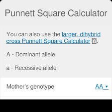 A punnett square is a graphical representation of the possible genotypes of an offspring arising from a particular cross or breeding event. Punnett Square Calculator Traits And Genes Calculator
