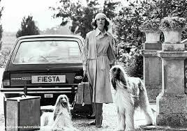 Image result for White 1978 Fiesta