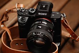Tentu kamu sudah familier dengan kata piksel, tapi jangan terkecoh dengan jumlah yang dijejalkan oleh para produsen kamera. 5 Kamera Mirrorless Yang Cocok Untuk Pemula Dibanderol Mulai Rp3 Jutaan Portal Jember