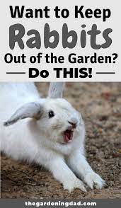 Tips How To Keep Rabbits Out Of Yard Or Garden The Gardening Dad Rabbit Repellent Rabbit Resistant Plants Rabbit