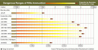 A 338 will travel close to two miles. Pin On Targets Training