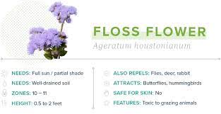 Its brightly colored flower exudes a scent that keeps insects away. 15 Plants That Repel Mosquitoes Proflowers