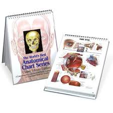 The Worlds Best Anatomical Chart Series A Comprehensive
