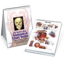 the worlds best anatomical chart series a comprehensive