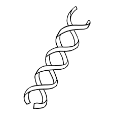 How To Draw Dna - Really Easy Drawing Tutorial Dna Drawing Drawing Tutorial Easy Easy Drawings