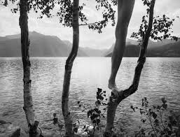 Para tomar nota, nosotros que vivimos en islas y los helicópteros son las. Arno Rafael Minkkinen Artist News Exhibitions Photography Now Com