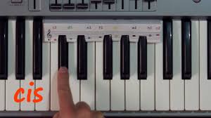 Entdecke rezepte, einrichtungsideen, stilinterpretationen und andere ideen zum ausprobieren. Die Schwarzen Tasten An Klavier Und Keyboard Demo Der Vollversion 28min Im O Key Kurs Youtube