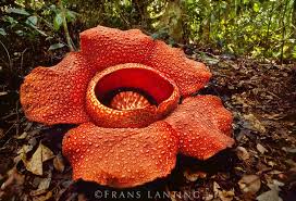 Pin On Natural Wonders