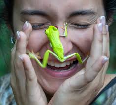 A frog looks like he has a big smile for the camera in Russia.