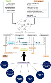 He was considered a pioneer of the 'new wave' of vallenato music. Frontiers Microbial Degradation Of Naphthalene And Substituted Naphthalenes Metabolic Diversity And Genomic Insight For Bioremediation Bioengineering And Biotechnology