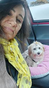 Ciao a tutti da Sunny (due mesi e mezzo) Soprannominato Dyson 🙄, aspira  tutto ciò che trova ed è un terremoto,