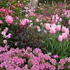 We did not find results for: Go Gardening Helping New Zealand Grow Garden Inspiration Tips And Advice From The Expert