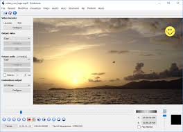Come posso fare a toglierle???? Togliere Scritte O Logo Da Video Softstore Sito Ufficiale