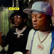 Rochy RD, Ceky Viciny