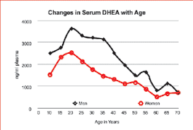 Dhea The Fountain Of Youth