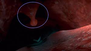 Maybe you would like to learn more about one of these? Ticia On Twitter I Have But That Fact Isn T Grabbing Me The Same Way And I Admit It S Partially Because I Don T Like The Way The Word Uvula Sounds I Freely Admit