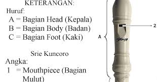 Alat musik ini sekilas mirip dengan suling namun yang membedakan adalah recorder memiliki lubang untuk jempol yang letaknya. Cara Bermain Alat Musik Recorder Terbaru Sanggar Model