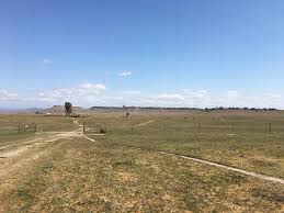 This parcel is adjacent to another 5 acre site for sale ml ##21191780, bringing the total area for development to around 10 acres. 80 Acres Of Agricultural Land For Sale In Madera California Landsearch