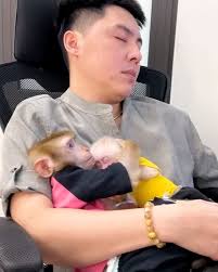 kaka And Mit So sweet 🥹❤️🐒 .