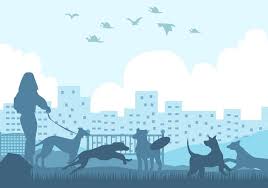 Image result for Recreation Pets Dogs Web Graphics