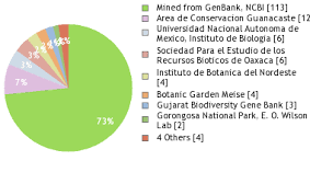 Image result for Aeschynomene mediocris