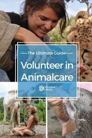 You Love Animals And You Want To Give Something Back You Find Is Fascinating To See Your Favori Volunteering With Animals Volunteer Travel Places To Volunteer