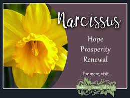 Narcissus Meaning Symbolism Flower Meanings Flower Meanings Narcissus Flower Narcissus