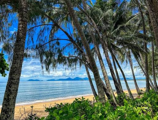Palm Cove beach Cairns Queensland Australia 🇦🇺