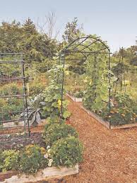 When asked what prompted the move, owner and operator scott stanton explained that business has been good, and we needed more space to expand our inventory. Planning And Designing A Productive Vegetable Garden The Ukiah Daily Journal