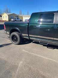 Image result for Black Forest Green 2016 200