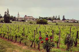 Construisez votre propre guide sur mesure. The Best Wineries To Visit In Saint Emilion Lost In Bordeaux