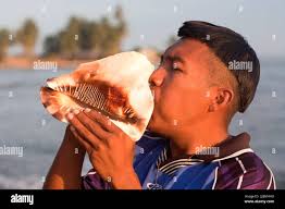 Muscheln, die im Wind wehen auf See Ufer Stockfotografie