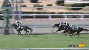 追加日(降順) 追加日(昇順) 価格が低い順 価格が高い順 ランダム. å‡½é¤¨ã‚¹ãƒ—ãƒªãƒ³ãƒˆã‚¹ãƒ†ãƒ¼ã‚¯ã‚¹2021 å‡ºèµ°äºˆå®šé¦¬ äºˆæƒ³ã‚ªãƒƒã‚º é¨Žæ‰‹ ä»Šå¹´ã¯æœ­å¹Œã‚³ãƒ¼ã‚¹ã§