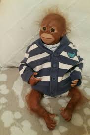 Reborn Baby Monkey In Dl3 Darlington For 75 00 For Sale Shpock