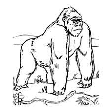 Check spelling or type a new query. 10 Cute Free Printable Gorilla Coloring Pages Online