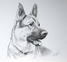 Email a photo of your art: How To Draw A Dog Easy For Kids Posts Facebook