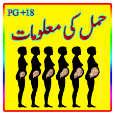 We did not find results for: Hamal Ki Malomat 1 0 Apk Download Android Health Fitness Apps