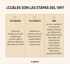 Cómo el VIH afecta el cuerpo: Transmisión, progresión y más
