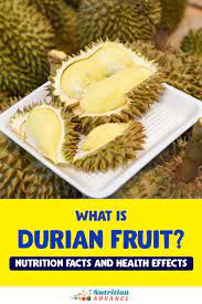 What Is Durian Fruit Nutrition Advance