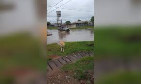 El último intento de los chavistas por salvar a alex saab 13 junio 2021 8:31 am. Https Www Xn Lamaanaonline Lkb Com Ar Noticia 34386 Sobre Piran Cayeron Ms De 100 Mm De Lluvia